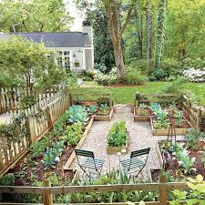 2418101 Dougs 0271 Jpg Jpeg Image 694 694 Pixels Garden Layout Cottage Garden Backyard
