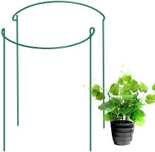 Pots & planters grow bags. Half Round Plant Grow Support Metal Small Garden Pot Trellises Ring Trellis Flower Stainless Steel Climbing Vegtables Flowers Fruit Potato Tomato Peony Rose Seeding Cage Stake Indoor 15 5 X10 2 Pack Buy Online In
