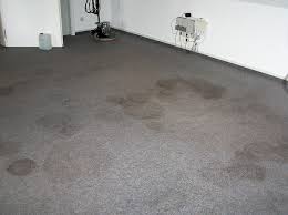 Kann man ihn überhaupt noch retten oder gibt es möglickeiten. Teppichreinigung Industrie Teppichboden