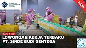 #ptviramakarya #lokerbumn #lokerjanuari #lowongan kerja desember 2021 #lowongan kerja 2021 #lowongan kerja terbaru #lowongan kerja hari ini #lowongan kerja bumn. Lowongan Kerja Terbaru Lulusan D1 Semua Jurusan Januari 2021 Dokter Andalan
