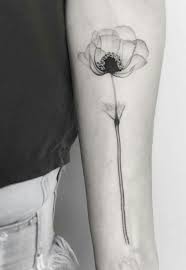 Trouvez les meilleures images gratuites sur le thème « coquelicot noir et blanc ». Epingle Par Mela Sur Tatoo Coquelicot Tatouage Tatouage Cercle Tatouage Interieur Bras