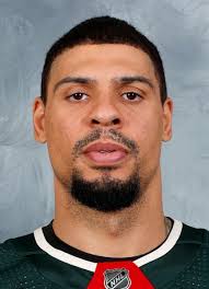 Ryan Reaves Hockey Stats and Profile at hockeydb.com