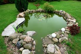 How to build eco friendly koi ponds. 4 Things To Consider Before Building A Koi Pond Total Mortgage Blog