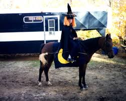 Check spelling or type a new query. Halloween Costumes For Horses Equitrekking