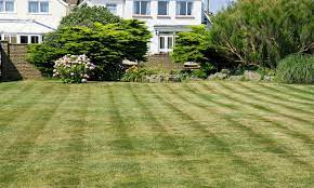 It can be difficult to judge if you are overwatering your lawn however mother nature has developed a good. How To Restore An Overwatered Lawn Best Of Machinery
