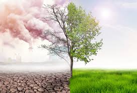 Please note that air quality data may be missing for many reasons that are beyond our control including local power or communications outages, instrument calibration cycles or failure. The Earth S Air Quality Is Getting A Lot Better As People Stay Home