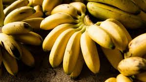 Resultado de imagem para banana