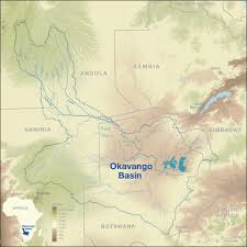 Image result for Triumfetta dekindtiana