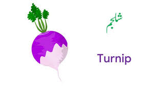 Vegetable Names In English And Urdu With Pictures Download Pdf Name Of Vegetables Vegetables Vegetables Names With Pictures