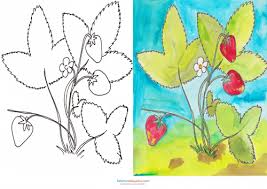 Plants and growth themed mindfulness colouring sheets. Match Up Coloring Pages Strawberry Plant Kidspressmagazine Com