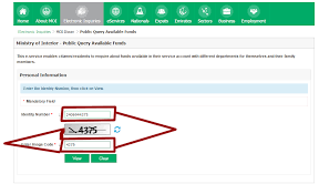 How To Check Funds Available In Your Name And Iqama Number Saudi Arabia Moi Electronic Inquirie Ministry Of Interior Public Query Available Job Ads Names Fund