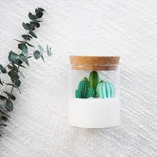 Cacti Candle Jar In 2020 Cactus Candles Candle Room Soy Candles