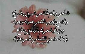 مدح شاعر على شعره ليدي بيرد