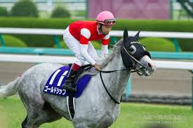 宝塚記念 阪神 芝2200 16 良 2:14.4 ラブリーデイ 川田将雅 西 池江泰寿 2014/06/29 宝塚記念 阪神 芝2200 12 良 2:13.9 ゴールドシップ 横山典弘 西 須貝尚介 2013/06/23 宝塚記念 阪神 11 ç«¶é¦¬å†™çœŸ 2014å¹´ ç¬¬55å›žå®å¡šè¨˜å¿µ Gi ã‚´ãƒ¼ãƒ«ãƒ‰ã‚·ãƒƒãƒ—