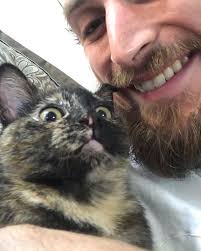 影／喵星人毛手玩DJ盤網友萌翻喊：全場最吸睛就是你！