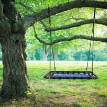 What are some of the most reviewed products in swings? Kids Tree Swing Wayfair