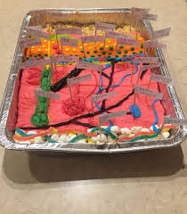Integumentary System Model Edible Model Of Integumentary System Integumentary System Integumentary System Project Human Body Activities