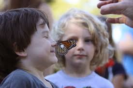 The Charleston Museum