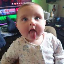 When you complete a club do you complete the 40 elite races ?