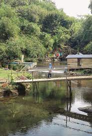 Salah satu kota kecil di jawa tengah, purbalingga disebut sebagai negeri seribu curug. Curug Nini Nikmati Eksotisnya Alam Purbalingga