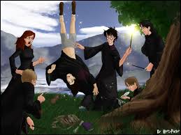 Who Was At Hogwarts During The Marauders Era? - Quora