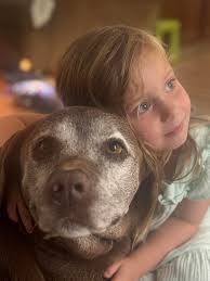 Mobile dog nail trimming and grinding services