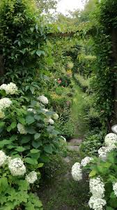 Epingle Par Danuta Bielinska Sur Moje Zdjecia I Prace Jardin Naturel Jardins Jardin Extraordinaire