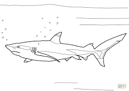 coloriage requin a pointes noires coloriages imprimer gratuits  de cristiano ronaldo