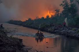 Maybe you would like to learn more about one of these? Sejarah Kebakaran Hutan Lahan Di Indonesia Terparah Tahun 1997 Tirto Id