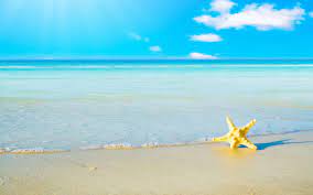These h5 summer wallpaper photos are perfect for you to use on your android or iphone. 48 Free 3d Summer Wallpaper On Wallpapersafari