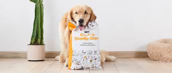 Barking Good Bites: Indulgent Dog Food Finds