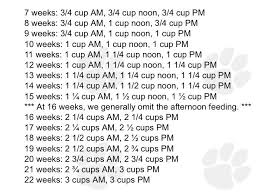 Feeding Chart Golden Retrievers Golden Retriever Dog Forums Golden Retriever Puppy Photography Retriever Puppy Puppy Feeding Schedule