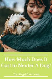 Depending on your location, the cost to neuter a dog will vary, but will usually range from $100 to $150 for a veterinarian procedure. How Much Does It Cost To Neuter A Dog Female Dog In Heat Dog Health Dog Care Tips