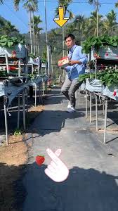 The site owner hides the web page description. Mona 0723 æž—ç›ˆå› Tiktok Profile