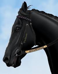 Shadowsinger By Jullelin On Deviantart Horse Drawings Horse Art Horse Artwork