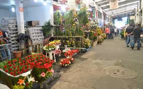 Fotopaseo, fotopaseo en el mercado de jamiaca fotopaseos. Ante Cierre En Mercado Jamaica Rematan Flores Para El 10 De Mayo Noticias Deportes Gossip Columnas El Sol De Mexico