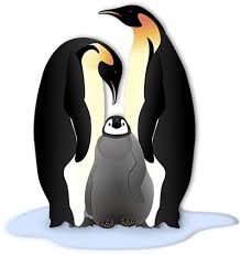 But, if you guessed that they weigh the same, you're wrong. Fun Facts About Penguins Cool Australia