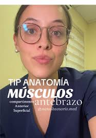 Consejos de Anatomía del Antebrazo para Estudiantes