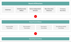 An organization chart or org chart is a diagram that displays a reporting or relationship hierarchy and structure. The Board Coca Cola Hbc