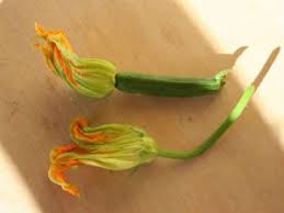 We did not find results for: How To Grow Courgettes A Novice S Guide To Vegetable Gardening