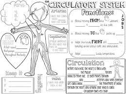 Circulatory System Complete Unit In Both Print And Digital Circulatory System Human Body Activities Physical Education Lessons