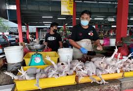 Pengeksportan isi durian sejuk beku ke china ; Ayam Ikan Naik Harga Masa Ramadan Utusan Digital