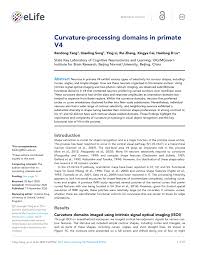 Clevertronics economy led lifelight rec n/m 140mm lith. Pdf Curvature Processing Domains In Primate V4