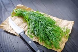 Thus, making this herb one of the best substitutes for recipes that call for mexican oregano and lemongrass alike. 6 Best Substitutes For Oregano For Cooking Recipes Recipe Marker