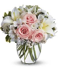 Find boundary map, population, demographics, climate change info and natural hazard risks. Arrive In Style In Bradenton Fl Saddle Creek Florist