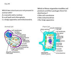 Animal cells have centrosomes (or a pair of centrioles), and lysosomes, whereas plant cells do not. Day 91 Snakes Have A Reputation For Being Slimy While Actually Their Skin Is Cool And Dry A Class Of Vertebrates That Does Have Moist Mucous Covered Ppt Download