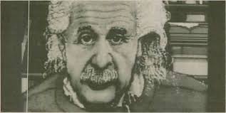 T h e O b s e r v e r