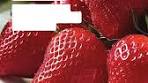 Onze pannenkoek van de maand: 't Zomerkoninkje 🍓met ... - Facebook