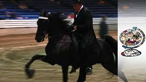The Cruel Secret Behind Tennessee S Walking Horses 2014 Youtube