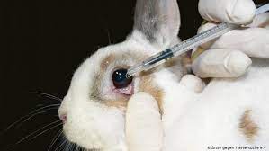 Eu Reaffirms Ban On Animal Testing For Cosmetics Globalization Dw 11 07 2013